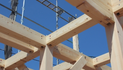 ニュース サムネイル