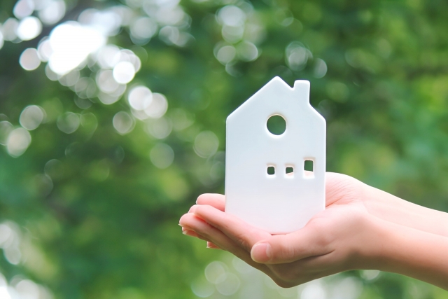 ニュース サムネイル